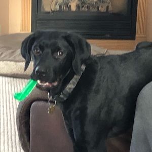 Meet your Posher, Gina